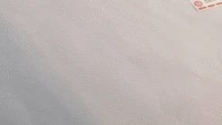 Iconic Dated Planner Stickers -Stationery Sale Store 1 91034549 6263 4e0a a57e 29b0b8ee3c64