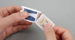 Dailylike Masking Tape Stamp