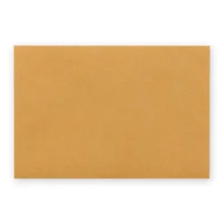 TRAVELER'S Company KRAFT String Envelope [Medium] -Stationery Sale Store 85673006 b