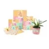 Clairefontaine Paper Touch- Printed Sheets- Shabby Design