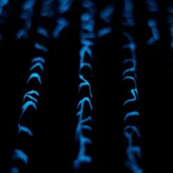 Blackwing Limited Edition Vol.2 [The Light & Dark Pencil] -Stationery Sale Store BLACKWINGVOL2 11 scaled