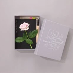 Stalogy 10th Anniversary Set Limited Edition 22 Stalogy 10th Anniversary Set Limited Edition -Stationery Sale Store Black 1