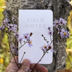 Field Notes Fall Limited Edition Notebooks [Birch Bark 2023] -Stationery Sale Store FNC60 Birch outdoorD