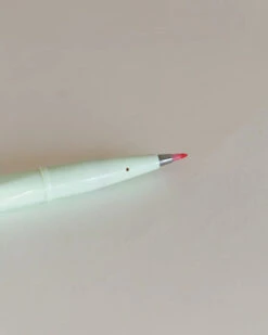 Craft Design Technology Brush Sign Pen 10-Pack Assorted Colours- By Pentel -Stationery Sale Store L1250455