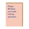 Ohh Deer Lovely Looking Specimen Greeting Card