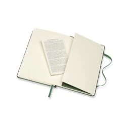 Moleskine Classic Notebook - Myrtle Green, Pocket -Stationery Sale Store download 4 1 4