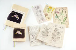 Hobonichi 2024 A6 Planner Cover [Tomitaro Makino: Koshinso] -Stationery Sale Store extra 07 db3b1ffb 7f6b 4f1a ac88 c7aafdedecb3