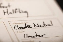 Field Notes 5E Character Journal [2 Pack] -Stationery Sale Store fn 5e inte