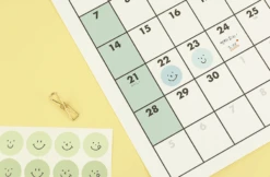 Paperian Colour Palette Stickers - Smile 14 Paperian Colour Palette Stickers - Smile -Stationery Sale Store paperian colour palette stickers smile use4