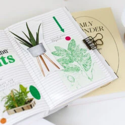 Paperian Daily Reminder 6 Month Planner -Stationery Sale Store paperian daily reminder 6month linedpages