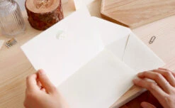 Paperian Letter Set - Forest 15 Paperian Letter Set - Forest -Stationery Sale Store paperian letter set forest envelope