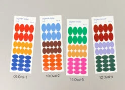 Paperian Pigment Sticker Transparent (Various Designs) -Stationery Sale Store pigment sticker oval9to12