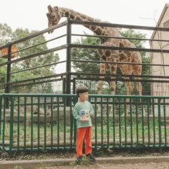 Hobonichi 2024 A6 Planner Cover [Jin Kitamura 'Love It' Panda] -Stationery Sale Store slide 02 4